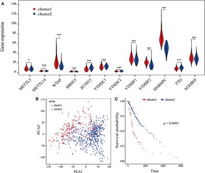 Prognosis Analysis and Validation of m6A Signature and Tumor Immune Microenvironment in Glioma